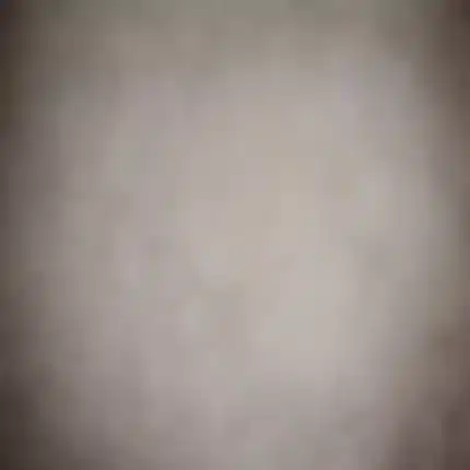 رمادي ناعم | Soft Grey Backdrop