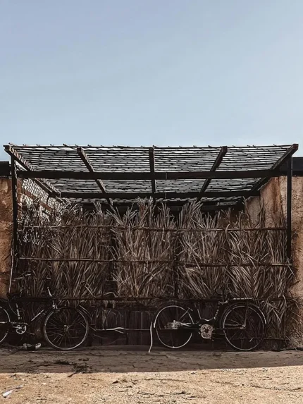 خلفية تصوير تراثية – Traditional Palm Hut Backdrop