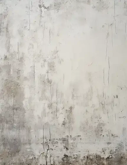 خلفية تصوير فينتج