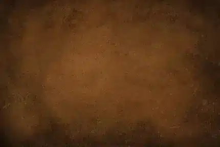 خلفية تصوير احترافية A-1209 من Allmaie Studio