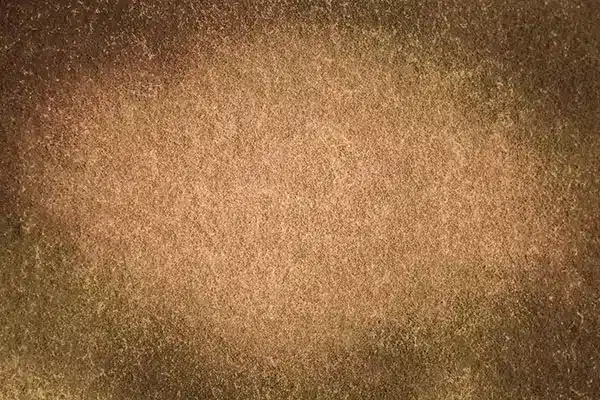 A-1223.webp خلفية تصوير احترافية A-1223 من Allmaie Studio