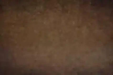 خلفية تصوير احترافية A-1227 من Allmaie Studio