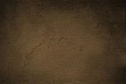 خلفية تصوير احترافية A-1237 من Allmaie Studio