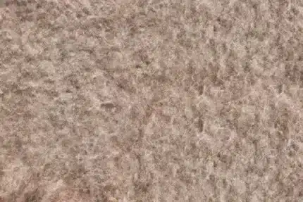 خلفية تصوير احترافية A-1248 من Allmaie Studio