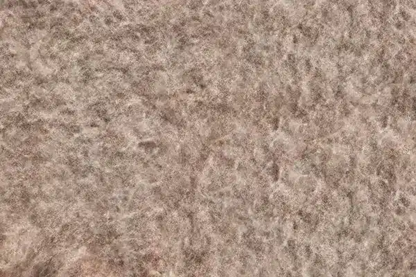 A-1248.webp خلفية تصوير احترافية A-1248 من Allmaie Studio