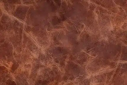 خلفية تصوير احترافية A-1253 من Allmaie Studio