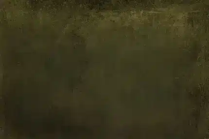 خلفية تصوير احترافية A-1256 من Allmaie Studio