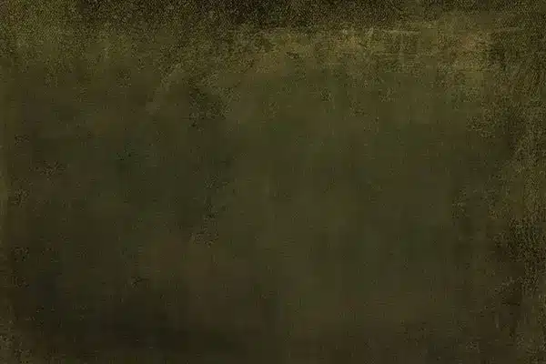 A-1256.webp خلفية تصوير احترافية A-1256 من Allmaie Studio