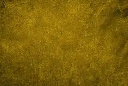 خلفية تصوير احترافية A-1293 من Allmaie Studio