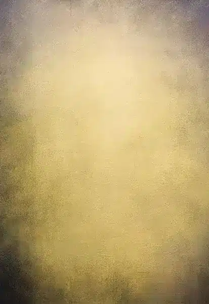 خلفية تصوير احترافية A-1395 من Allmaie Studio