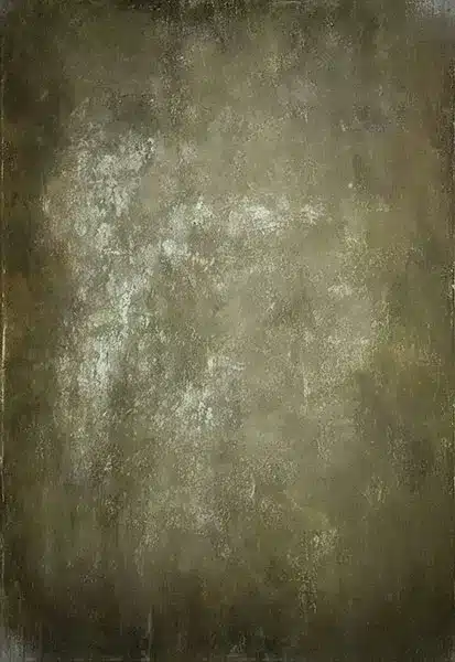 خلفية تصوير احترافية A-1453 من Allmaie Studio