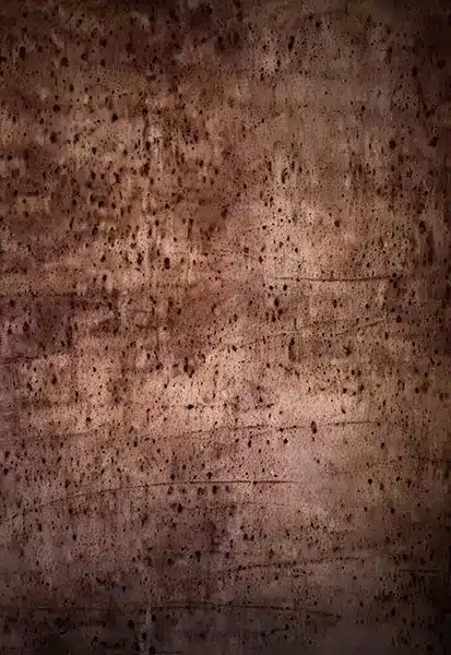 خلفية تصوير احترافية A-1457 من Allmaie Studio