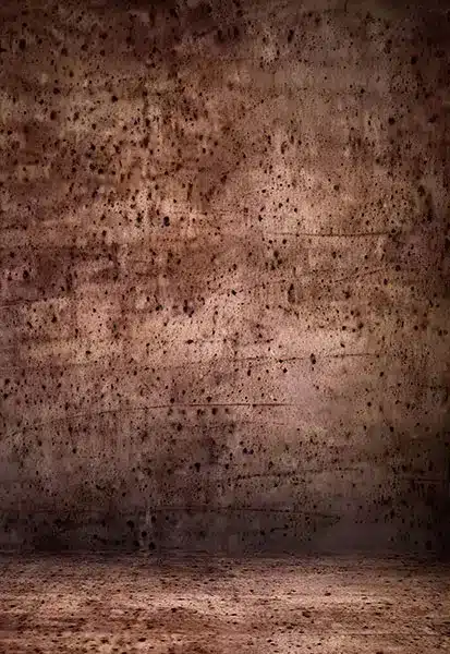 خلفية تصوير احترافية A-1458 من Allmaie Studio