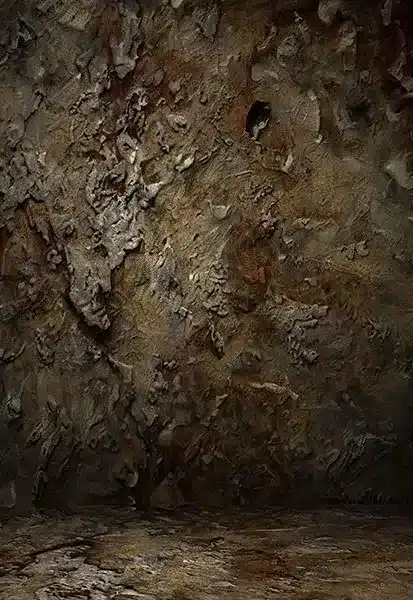 خلفية تصوير احترافية A-1462 من Allmaie Studio