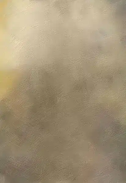 خلفية تصوير احترافية A-1463 من Allmaie Studio