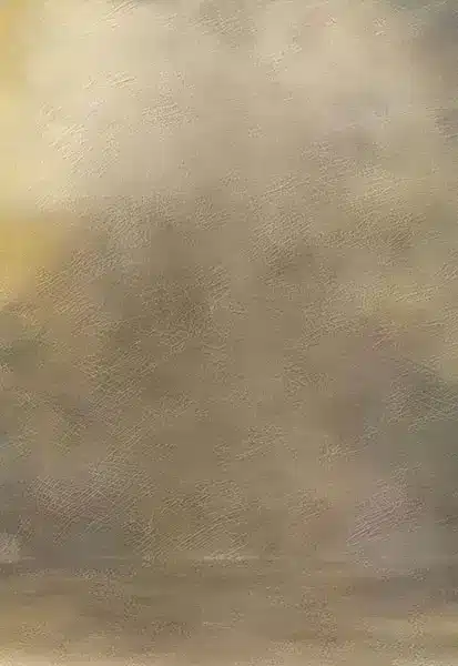 خلفية تصوير احترافية A-1464 من Allmaie Studio