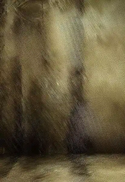 خلفية تصوير احترافية A-1494 من Allmaie Studio