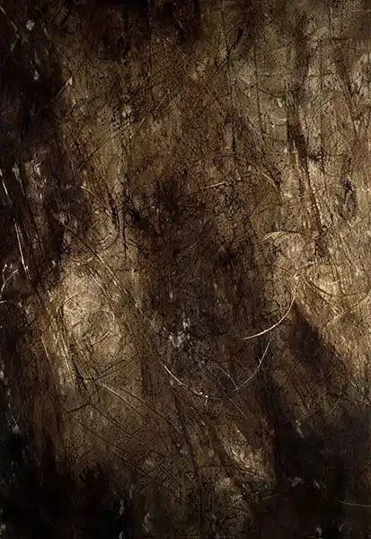 خلفية تصوير احترافية A-1513 من Allmaie Studio