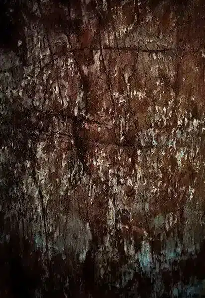 خلفية تصوير احترافية A-1539 من Allmaie Studio