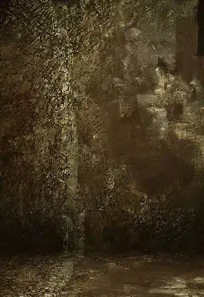 خلفية تصوير احترافية A-1554 من Allmaie Studio