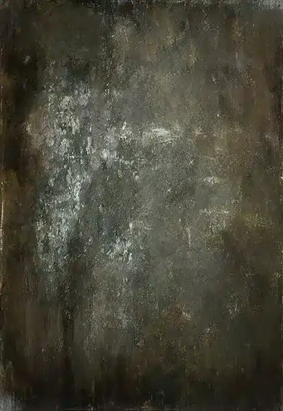 خلفية تصوير احترافية A-1557 من Allmaie Studio