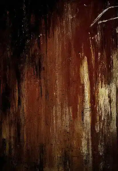 خلفية تصوير احترافية A-1571 من Allmaie Studio