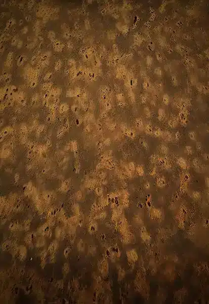 خلفية تصوير احترافية A-1579 من Allmaie Studio