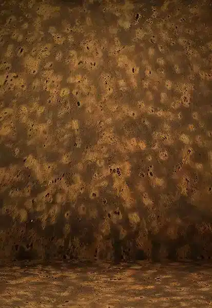 خلفية تصوير احترافية A-1580 من Allmaie Studio