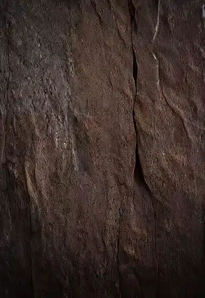 خلفية تصوير احترافية A-1603 من Allmaie Studio