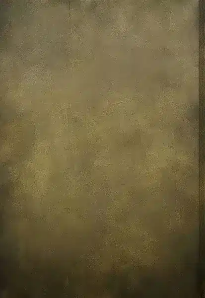 خلفية تصوير احترافية A-1627 من Allmaie Studio