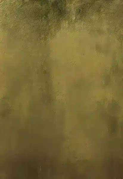 خلفية تصوير احترافية A-1635 من Allmaie Studio