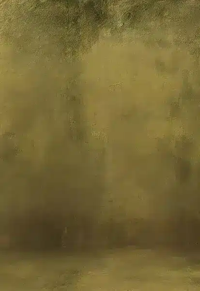 خلفية تصوير احترافية A-1636 من Allmaie Studio