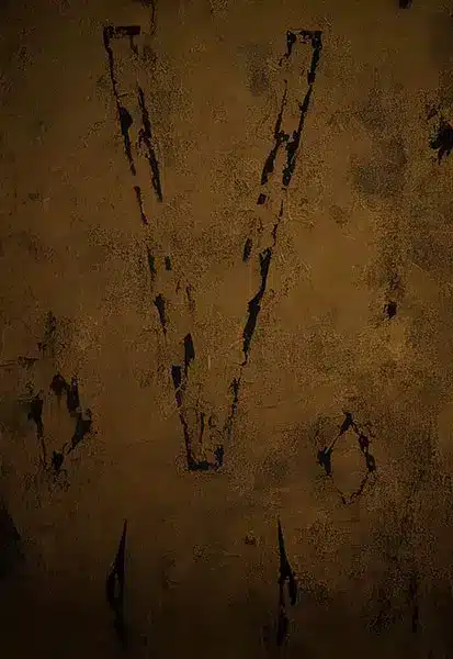 خلفية تصوير احترافية A-1639 من Allmaie Studio