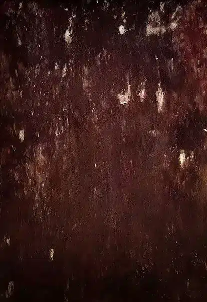 خلفية تصوير احترافية A-1649 من Allmaie Studio