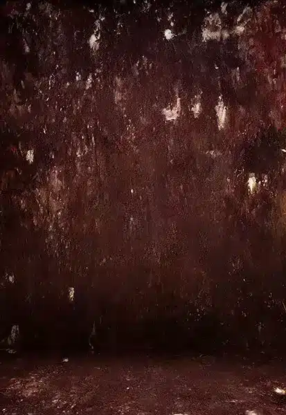 خلفية تصوير احترافية A-1650 من Allmaie Studio