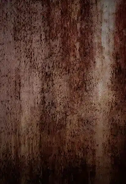 خلفية تصوير احترافية A-1669 من Allmaie Studio