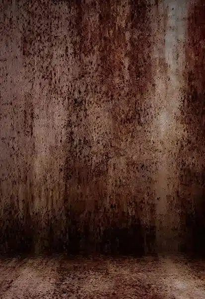 خلفية تصوير احترافية A-1670 من Allmaie Studio