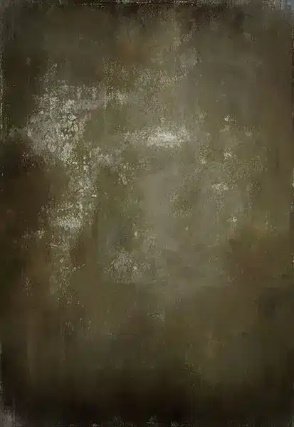 خلفية تصوير احترافية A-1685 من Allmaie Studio