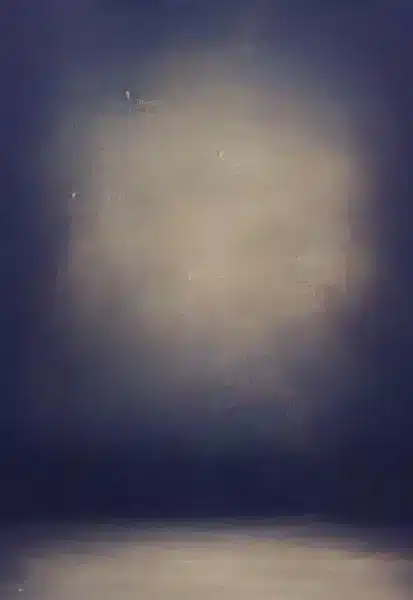 خلفية تصوير احترافية A-1704 من Allmaie Studio