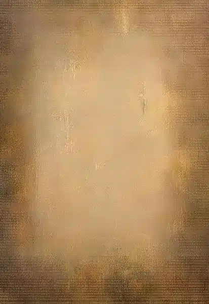 خلفية تصوير احترافية A-1735 من Allmaie Studio