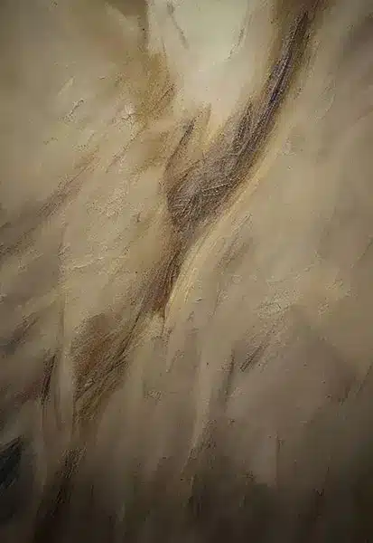 خلفية تصوير احترافية A-1753 من Allmaie Studio