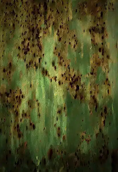 خلفية تصوير احترافية A-1773 من Allmaie Studio