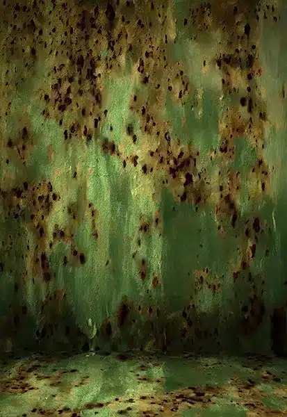 خلفية تصوير احترافية A-1774 من Allmaie Studio