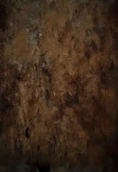 خلفية تصوير احترافية A-1793 من Allmaie Studio