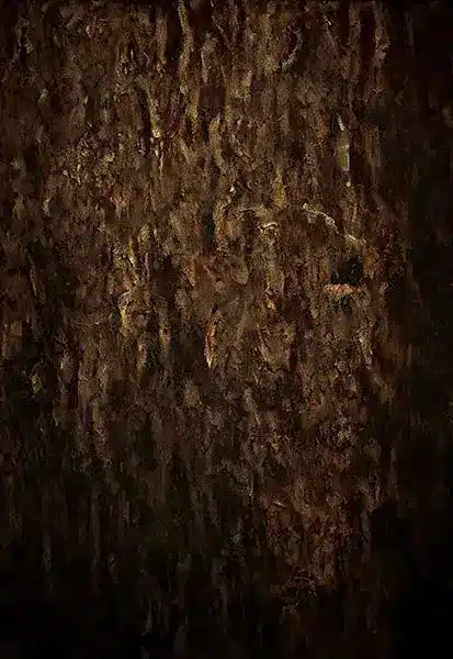 خلفية تصوير احترافية A-1833 من Allmaie Studio