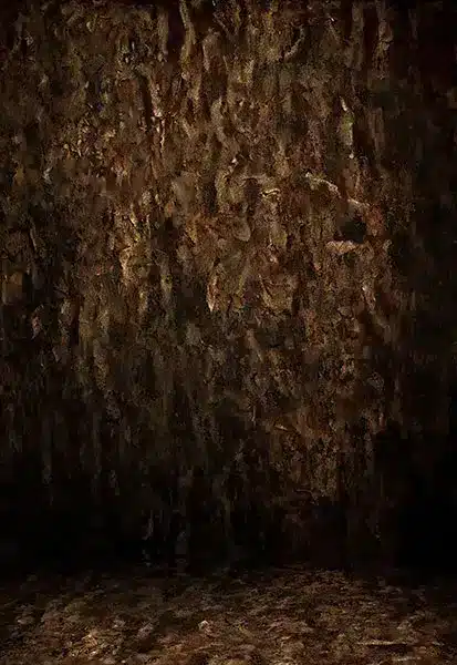 خلفية تصوير احترافية A-1834 من Allmaie Studio