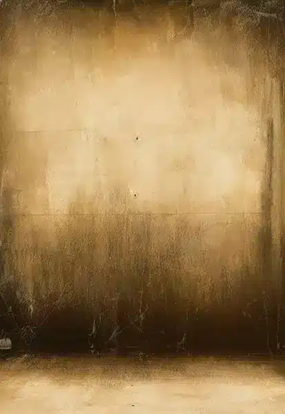 خلفية تصوير احترافية A-1858 من Allmaie Studio