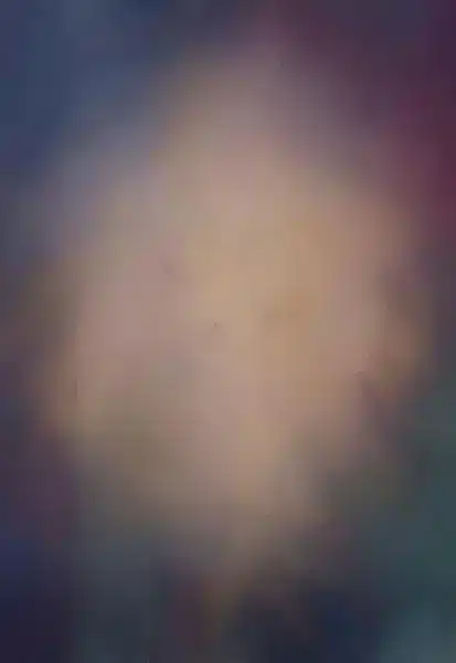 خلفية تصوير احترافية A-1921 من Allmaie Studio