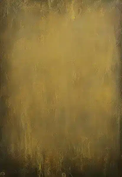 خلفية تصوير احترافية A-1943 من Allmaie Studio