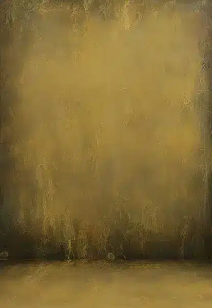 خلفية تصوير احترافية A-1944 من Allmaie Studio